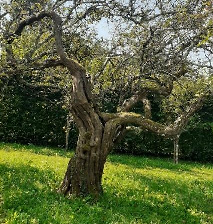 Вілла Maison Chaleureuse Et Ecologique Coyriere Екстер'єр фото