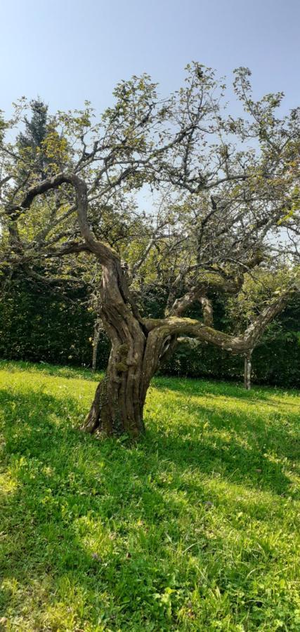 Вілла Maison Chaleureuse Et Ecologique Coyriere Екстер'єр фото